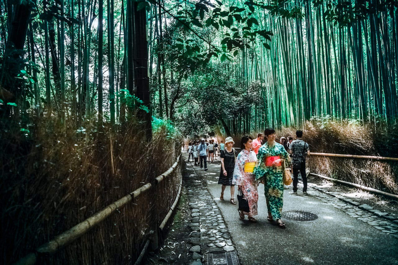 Kyoto Arashiyama Bamboo Grove